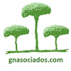 Abogados & Economistas